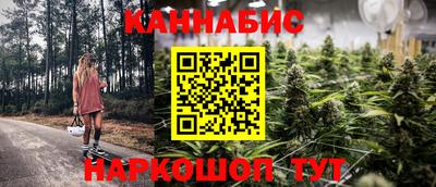 индика Гагарин