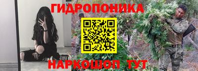 индика Гагарин