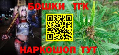 индика Гагарин