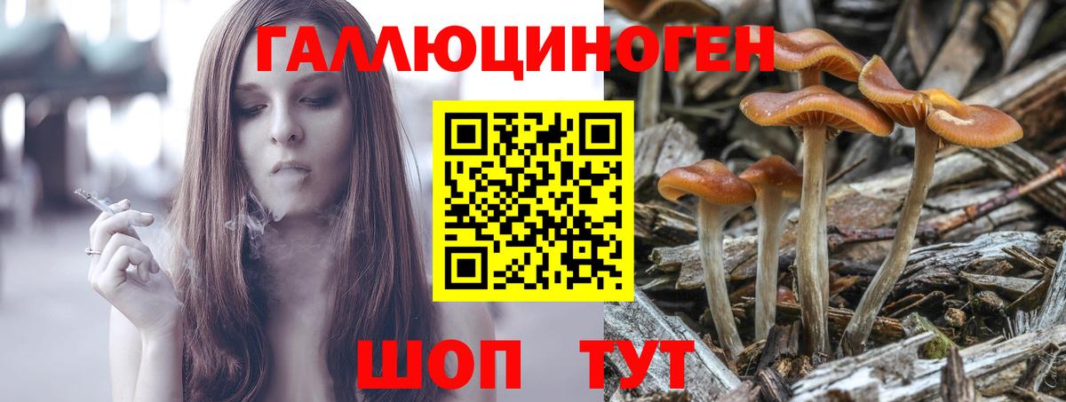 Галлюциногенные грибы Psilocybine cubensis  Вход с VPN  Моздок 