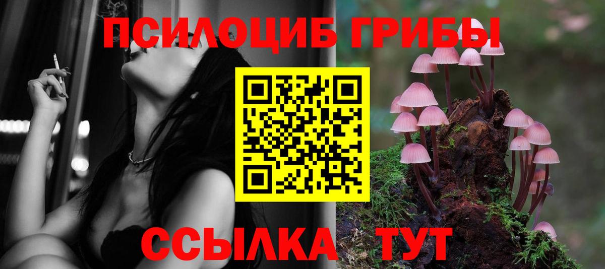 Псилоцибиновые грибы ЛСД Моздок